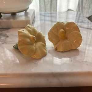 Vintage morning glory yellow flower salt pepper, spring, cottage